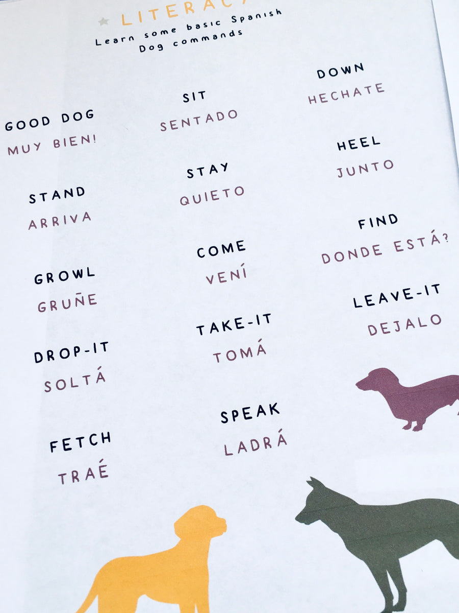 Spanish Dog Commands