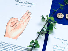 Load image into Gallery viewer, Nurture + Nature January Connect Nettle