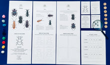 Load image into Gallery viewer, A Year of Nature Play November