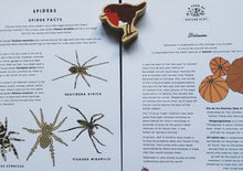 Load image into Gallery viewer, A Year of Nature Play October