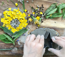Load image into Gallery viewer, A Year of Nature Play August
