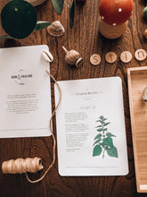 Load image into Gallery viewer, Herb and Folklore April Stinging Nettle