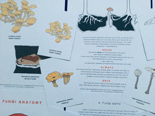 Load image into Gallery viewer, Mushrooms | Wonders of Fungi study unit