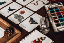 Load image into Gallery viewer, Spanish and English Nature flashcards | Homeschool | Montessori Home education