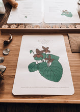 Load image into Gallery viewer, Herb and Folklore March Sweet Violet