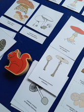 Load image into Gallery viewer, Mushrooms | Wonders of Fungi study unit