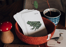 Load image into Gallery viewer, Spanish and English Nature flashcards | Homeschool | Montessori Home education