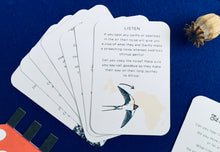 Load image into Gallery viewer, A Year of Nature Play August