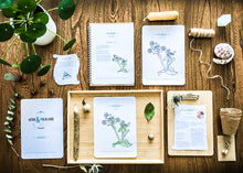 Load image into Gallery viewer, Herb and Folklore January Chickweed