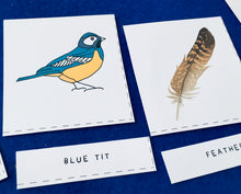 Load image into Gallery viewer, British Birds nomenclature | anatomy | home education