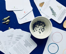 Load image into Gallery viewer, Connect with herbs and chakras for children mindfulness unit