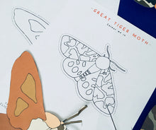 Load image into Gallery viewer, Moth anatomy and lifecycle unit