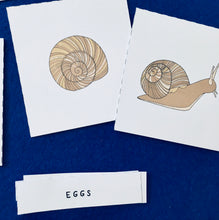 Load image into Gallery viewer, Snails and Fibonacci Home education learning resource