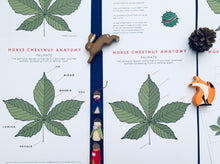 Load image into Gallery viewer, Autumn Tree study unit