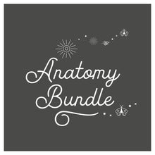 Load image into Gallery viewer, Anatomy bundle