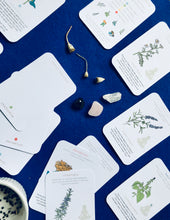Load image into Gallery viewer, Connect with herbs and chakras for children mindfulness unit