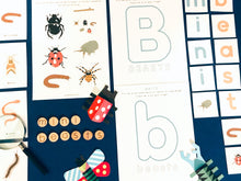 Load image into Gallery viewer, Minibeast hunt learning resource