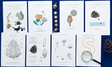 Load image into Gallery viewer, Seed Dispersal learning resource