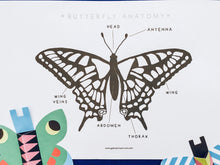 Load image into Gallery viewer, Minibeasts colour in bundle | Insects ladybird worm spider grasshopper butterfly ant