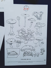 Load image into Gallery viewer, Mushrooms | Wonders of Fungi study unit