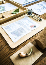 Load image into Gallery viewer, Herb and Folklore January Chickweed