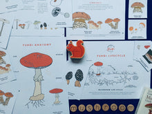 Load image into Gallery viewer, Mushrooms | Wonders of Fungi study unit
