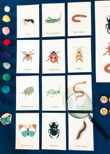 Load image into Gallery viewer, Minibeast hunt learning resource