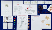 Load image into Gallery viewer, FUNGI Guided Nature Play November