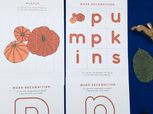 Load image into Gallery viewer, Pumpkin study unit