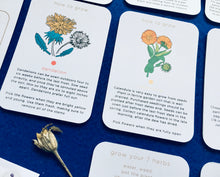 Load image into Gallery viewer, Connect with herbs and chakras for children mindfulness unit