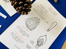 Load image into Gallery viewer, Explore Winter Collection