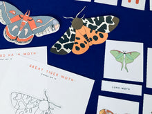 Load image into Gallery viewer, Moth anatomy and lifecycle unit