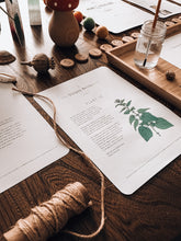 Load image into Gallery viewer, Herb and Folklore April Stinging Nettle