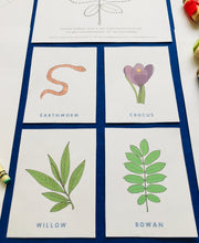 Load image into Gallery viewer, Imbolc | Spring | Wheel of the year Home education