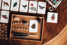 Load image into Gallery viewer, Spanish and English Nature flashcards | Homeschool | Montessori Home education