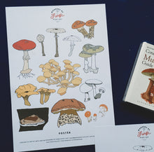 Load image into Gallery viewer, Mushrooms | Wonders of Fungi study unit