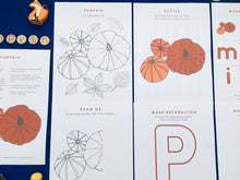 Load image into Gallery viewer, Pumpkin study unit