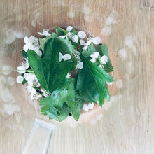 Load image into Gallery viewer, Nurture + Nature May Connect Hawthorn