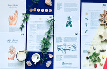 Load image into Gallery viewer, Nurture + Nature January Connect Nettle