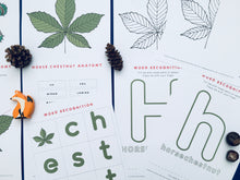 Load image into Gallery viewer, Autumn Tree study unit