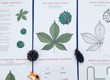 Load image into Gallery viewer, Autumn Tree study unit