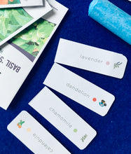 Load image into Gallery viewer, Connect with herbs and chakras for children mindfulness unit