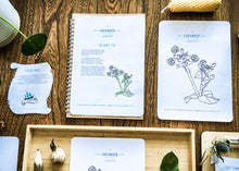 Load image into Gallery viewer, Herb and Folklore January Chickweed