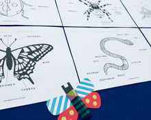 Load image into Gallery viewer, Minibeasts colour in bundle | Insects ladybird worm spider grasshopper butterfly ant