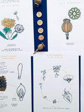 Load image into Gallery viewer, Seed Dispersal learning resource