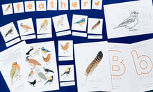 Load image into Gallery viewer, British Birds nomenclature | anatomy | home education