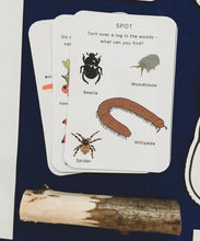 Load image into Gallery viewer, A Year of Nature Play September