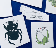 Load image into Gallery viewer, Giant Water Lily study