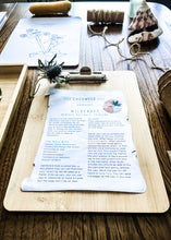 Load image into Gallery viewer, Herb and Folklore January Chickweed