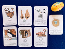 Load image into Gallery viewer, Nesting birds | bird unit | Montessori learning